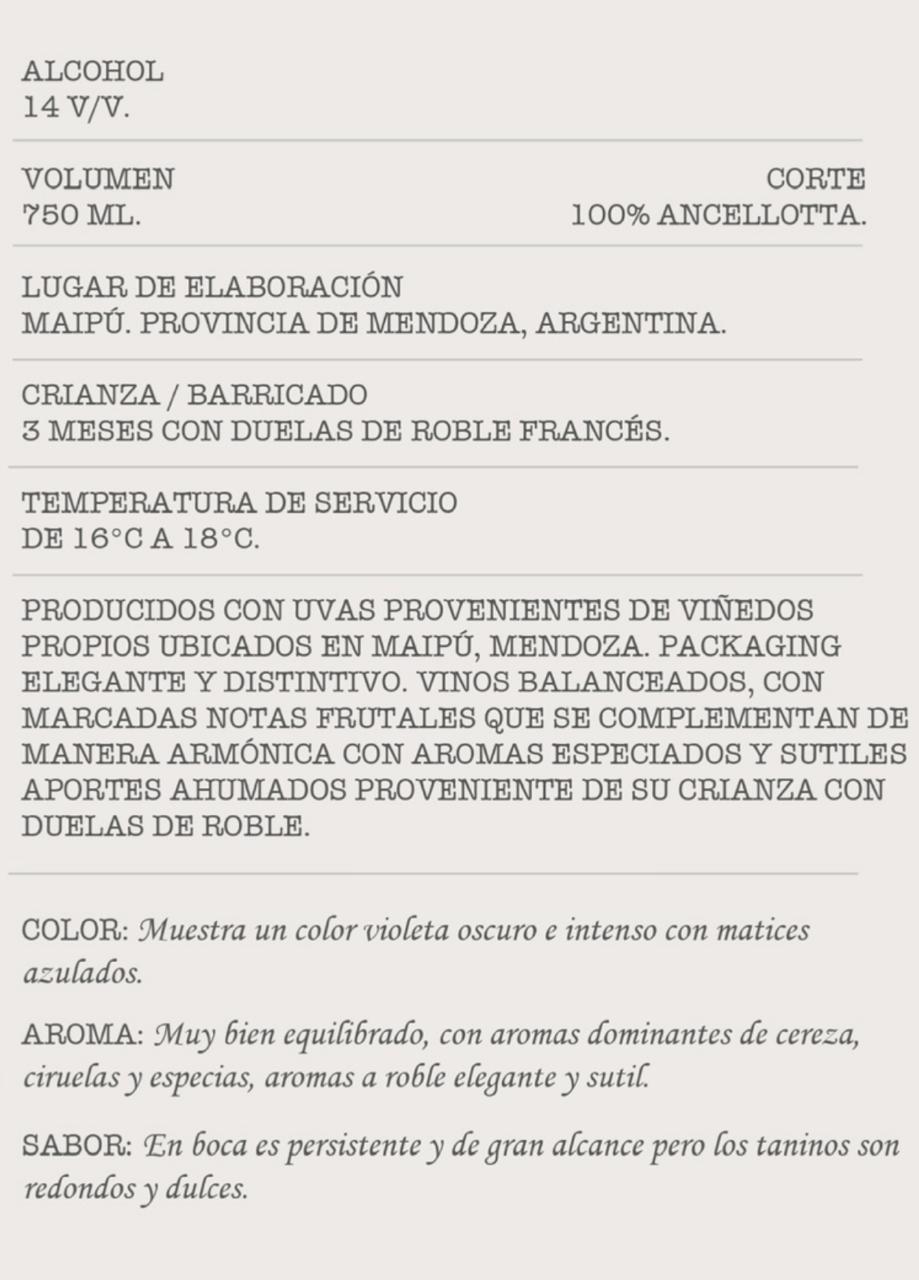 Cerditos Espaciales Anccelotta | Argentina