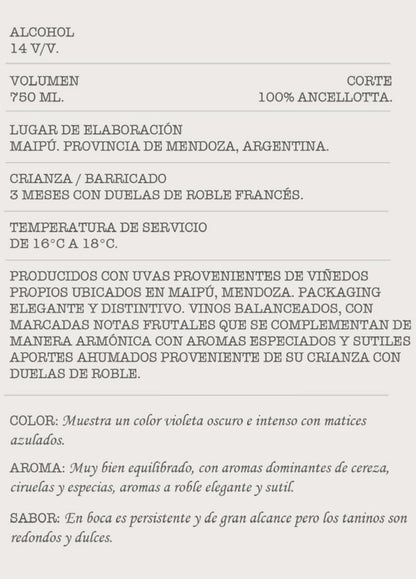 Cerditos Espaciales Anccelotta | Argentina