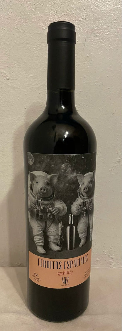 Cerditos Espaciales Anccelotta | Argentina